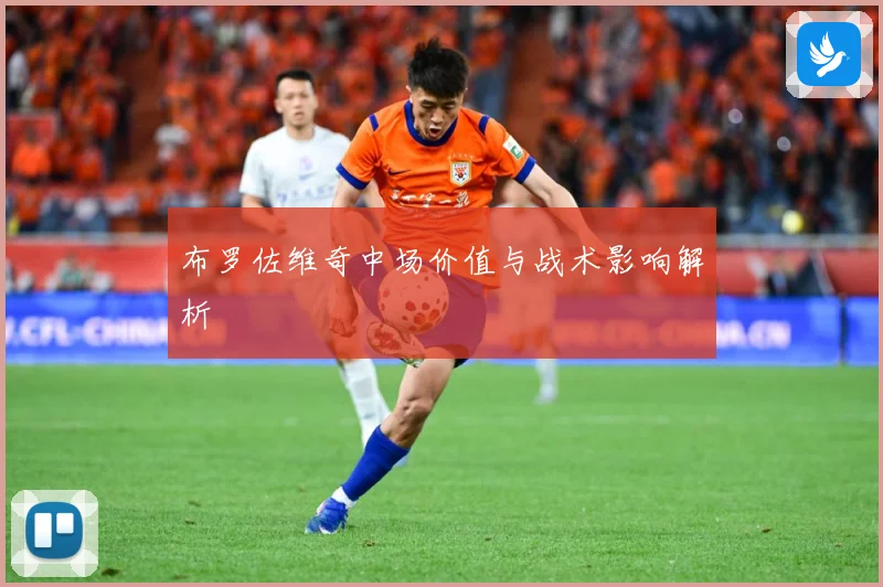布罗佐维奇中场价值与战术影响解析