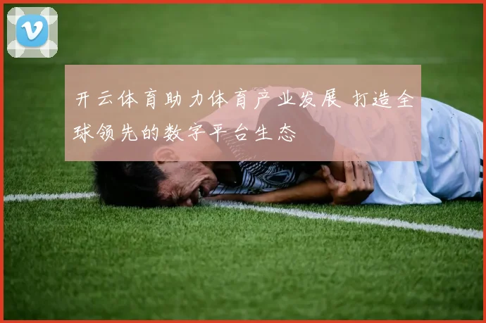 开云体育助力体育产业发展 打造全球领先的数字平台生态
