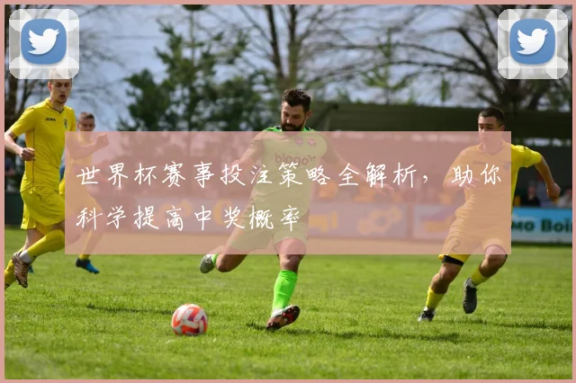 世界杯赛事投注策略全解析，助你科学提高中奖概率
